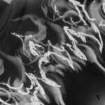 קפוצ’ון שחור מעוצב ROBERTO VINO – תמונה 7