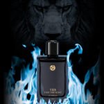 ⁦בושם לגבר גפארליס GEPARLYS YES I AM THE KING LE PERFUM 100 ML E.D.P⁩ – תמונה ⁦2⁩